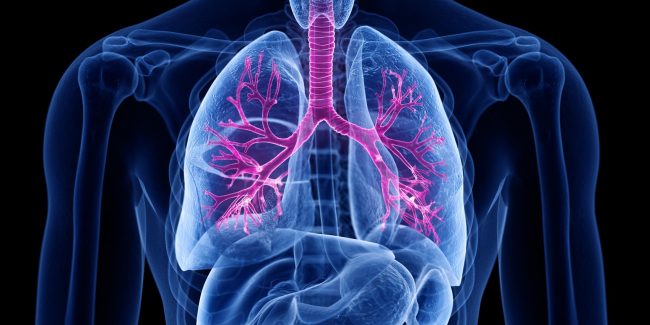 什么是慢性阻塞性肺病 (Chronic Obstructive Pulmonary Disease)，為何與新冠疫情有關(guān)？